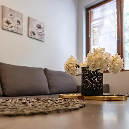 شقة Karavelov Center *